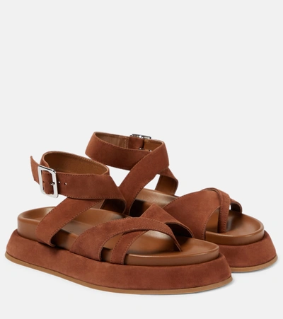 Gia Borghini Gia/rhw Rosie 41 Suede Platform Sandals In Brown