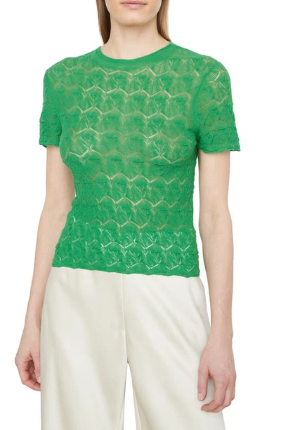 Vince Women's Lace Knit Crewneck Top In Garden