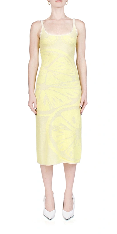 House Of Sunny Lemons On A Plate Cotton-blend Knitted Maxi Dress In Limoncello