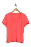 Madewell V-neck Short Sleeve T-shirt In Sundrenched Tulip