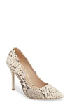 Steve Madden Daisie Pointy-toe Pump In Natural Snake