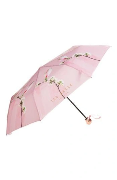 Ted Baker Harmony Compact Umbrella Pink In Pale Pink ModeSens