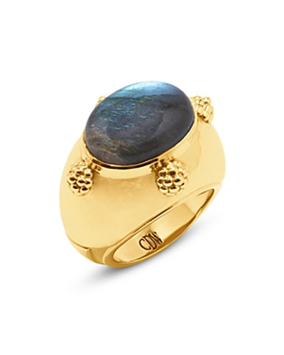 Capucine De Wulf Cleopatra Oval Labradorite Ring In Blue/gold