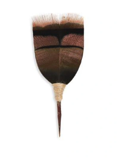 Brackish Classic Feather Pin In Brown