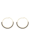 Argento Vivo Sterling Silver 18k Yellow Gold Beaded Hoop Earrings In Gold/black