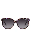 Quay Coffee Run 53mm Polarized Gradient Cat Eye Sunglasses In Purple Tortoise,smoke Polarized