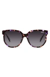 Purple Tortoise,Smoke Polarized