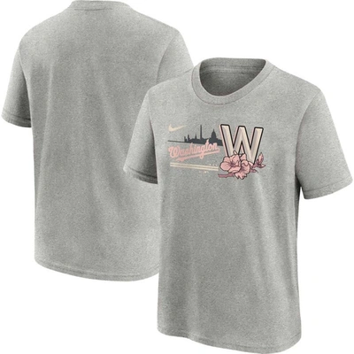Nike Kids' Youth  Heather Gray Washington Nationals City Connect Graphic T-shirt