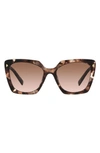 Prada 55mm Square Sunglasses In Brown/brown Gradient