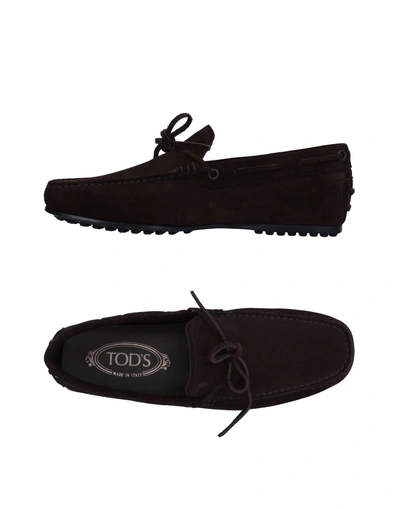 Tod's Loafers In Brown