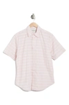 Coastaoro Yarn Dye Cotton Button-up Shirt In Saro Dirty Pink