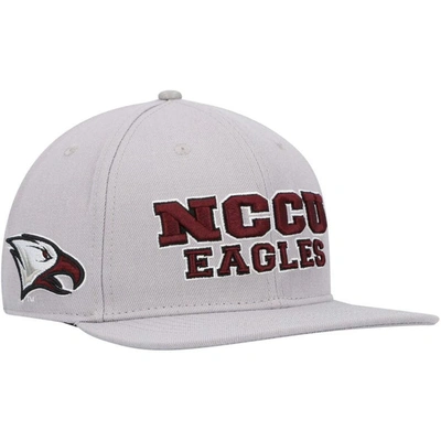 Pro Standard Gray North Carolina Central Eagles Evergreen Nccu Snapback Hat