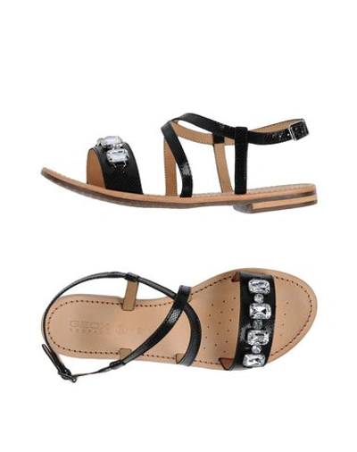 Geox Sandals In Black