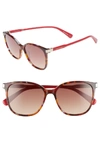 Longchamp 54mm Square Sunglasses - Havana Burgundy