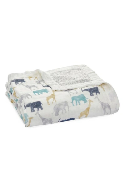 Aden + Anais 'silky Soft Dream' Blanket In Expedition