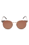 Diff 53mm Logan Round Sunglasses In Gold/ Brown Lens