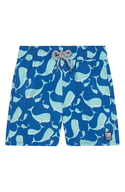 Tom & Teddy Boys' Whale Print Swim Trunks - Little Kid, Big Kid In Navy/aqua