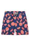 Tom & Teddy Boys' Citrus Swim Trunks - Little Kid, Big Kid In Blue & Rou