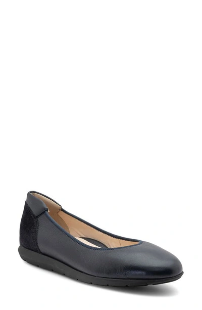 Ara Sh Ballet Flat In Navy Calf