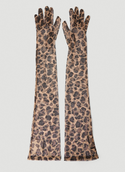 Gucci Leopard Print Gloves Female Brown