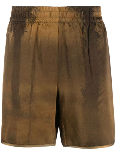 Blue Sky Inn Shorts In Brown