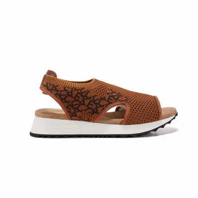 Australia Luxe Collective Doer Fly Logo Chestnut In Brown