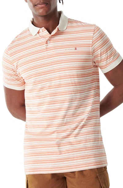 Barbour Deanbank Stripe Polo In Coral/ Whisper White