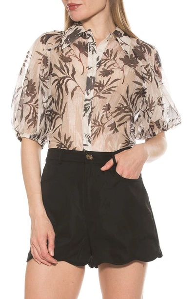 Alexia Admor Billie Floral Button-up Shirt In Oat Floral