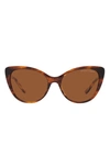 Ralph Lauren 56mm Cat Eye Sunglasses In Gradient Brown
