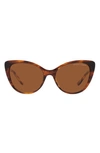 Polo Ralph Lauren 56mm Cat Eye Sunglasses In Gradient Brown