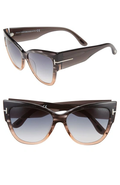 Tom Ford Anoushka 57mm Gradient Cat Eye Sunglasses In Grey/ Peach/ Gradient Grey