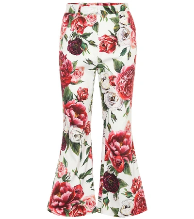 Dolce & Gabbana Floral-printed Stretch Cotton Pants In White