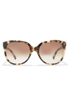 Kate Spade 'bayleigh' 55mm Sunglasses In Havana Honey/ Warm Brown Grad