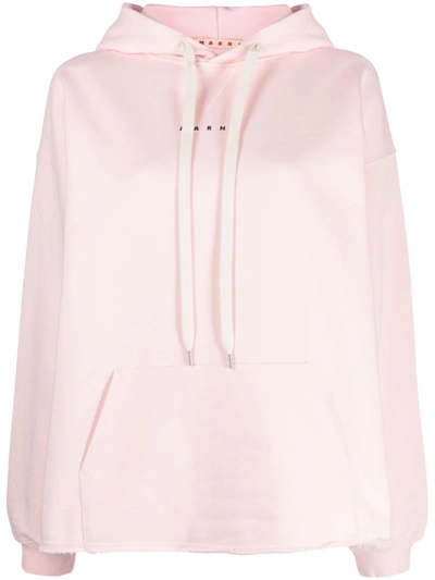 Marni Logo-print Cotton Hoodie In Pink