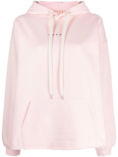 Marni Logo-print Cotton Hoodie In Nude & Neutrals