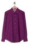 Robert Graham Bayview Cotton Button-up Shirt In Raspberry