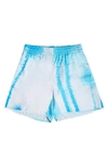 Blue Sky Inn Acqua Palm Shorts In A/ O Print-blue