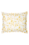 Sferra Procida Floral Cotton Sham In Banana