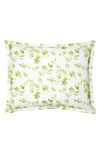 Sferra Procida Floral Cotton Sham In Kiwi