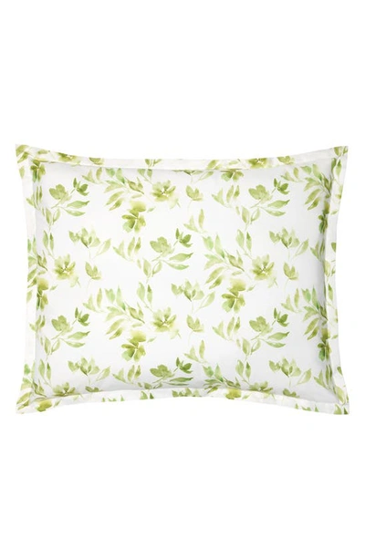 Sferra Procida Floral Cotton Sham In Kiwi