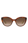Kate Spade Amberlees 55mm Gradient Eat Eye Sunglasses In Brown/brown Gradient