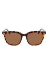 Cole Haan 53mm Square Sunglasses In Tortoise