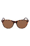 Cole Haan 55mm Cat Eye Sunglasses In Tortoise