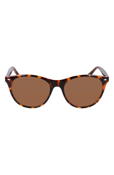 Cole Haan 55mm Cat Eye Sunglasses In Tortoise
