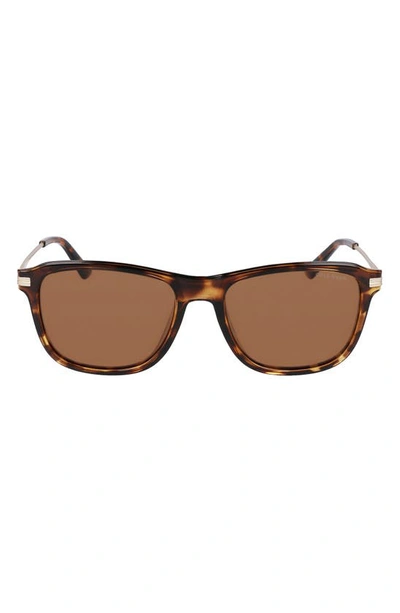 Cole Haan 55mm Square Sunglasses In Tortoise