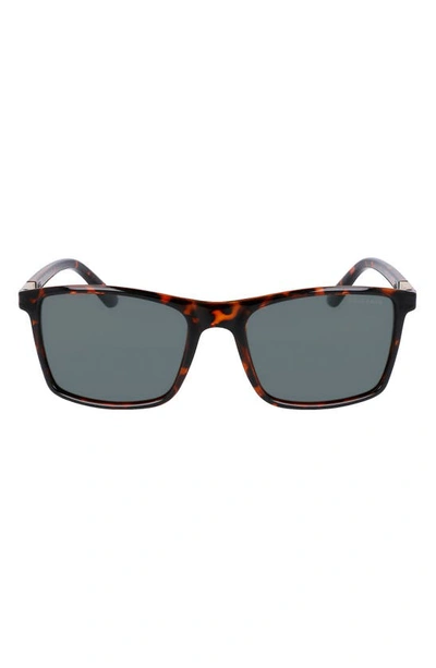 Cole Haan 57mm Square Sunglasses In Tortoise
