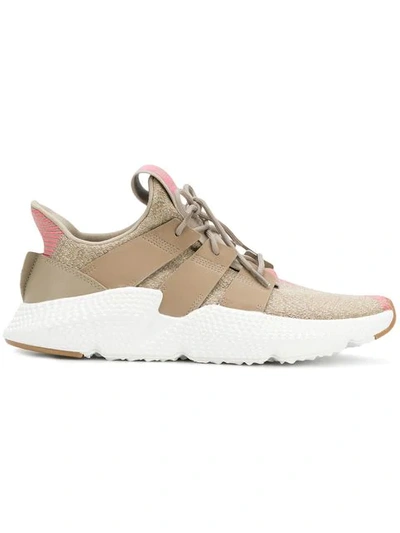 Adidas Originals Prophere Sneakers In Neutrals