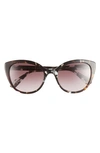 Kate Spade Amberlees 55mm Gradient Eat Eye Sunglasses In Havana Multi/ Brown Gradient