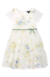 Zunie Kids' Floral Embroidered Party Dress In Ivory Floral