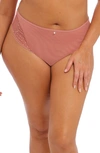 Elomi Priya Full Figure Brazilian Briefs In Rose Gold